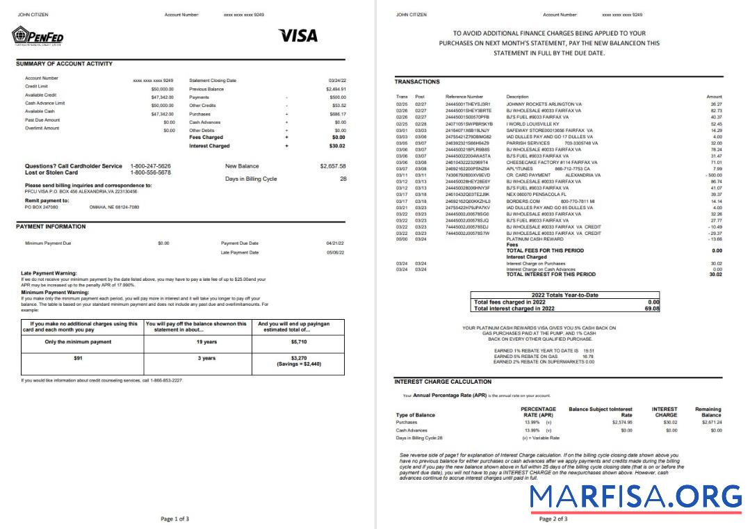 Printable USA Pentagon Federal Credit Union (PenFed) bank statement word 3 pages real example
